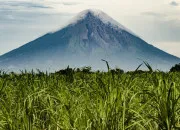 Quiz Les volcans