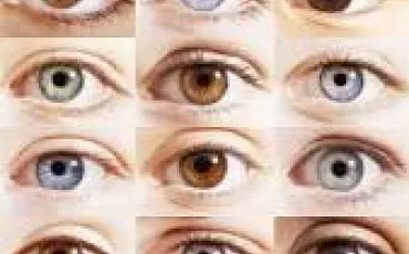 Quiz Test de personnalité