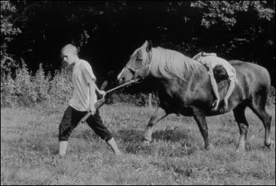 Quel est ce film de Damien Odoul, sorti en 2001, qui met en sc&egrave;ne David un jeune de 15 ans, dans une ambiance caniculaire ?