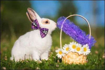 &Eacute;v&eacute;nement : quelle f&ecirc;te a pour animal phare le lapin ?