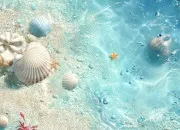 Test À quel point es-tu l'été ?☀️
