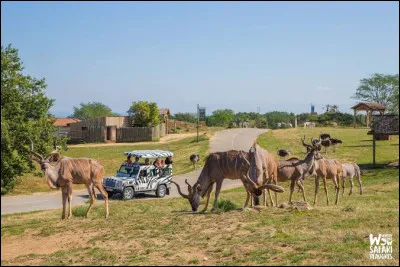 Comment se nomme le parc zoologique o&ugrave; on peut y faire un parcours en voiture ?