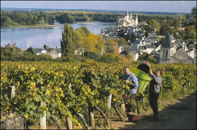 Quelle est cette ancienne province, r&eacute;put&eacute;e pour ses vignobles, ses ch&acirc;teaux et les bords de Loire, qui correspond au d&eacute;partement du Maine-et-Loire ?