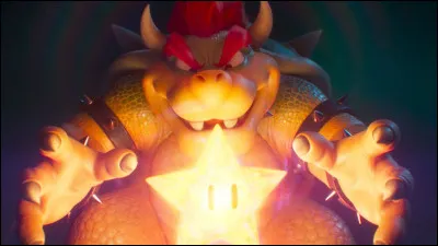 Le nom complet de Bowser est Bowser Koopa.
