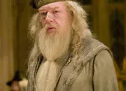 Quiz Albus Dumbledore