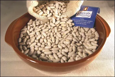 Lequel de ces mots est une liane de Madagascar ?