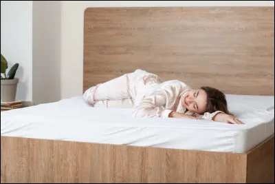 Quel animal peut dormir debout ?