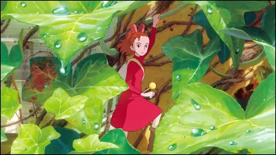 Quel est le premier film, bien qu'ant&eacute;rieur &agrave; la cr&eacute;ation du studio, &agrave; &ecirc;tre consid&eacute;r&eacute; comme faisant partie du catalogue "Ghibli" ?
