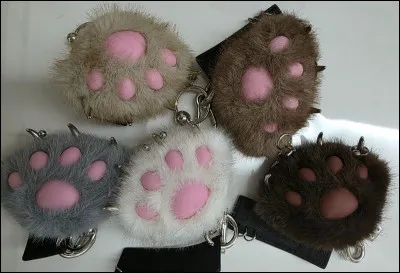Quelle patte de chat pr&eacute;f&egrave;res-tu sur cette image ? (1)