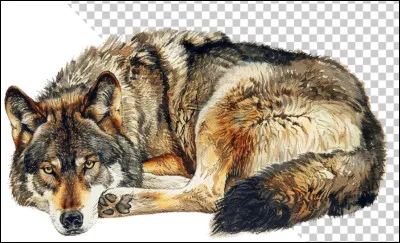 Quelle est la particularit&eacute; physique de Heep, le loup jaloux qui d&eacute;teste Faolan ?
