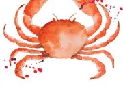 Quiz Culture générale autour du mot 'crabe'