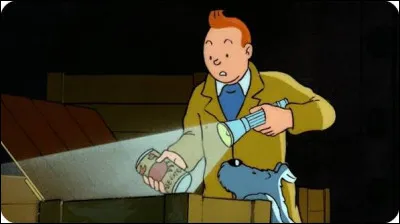 Compl&eacute;tez le titre de cette bande dessin&eacute;e de Tintin : "Le Crabe aux ..." :
