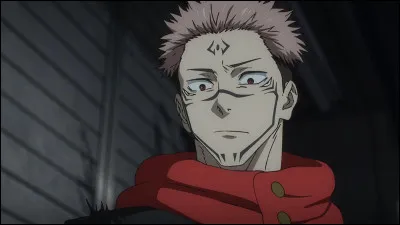 De quel anime vient-il ?