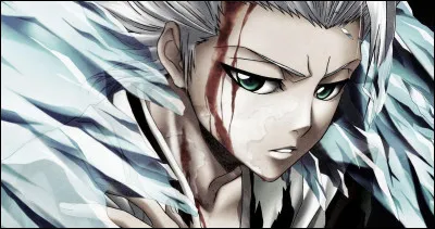 De quel anime vient-il ?