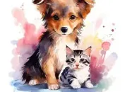 Quiz Chien ou chat