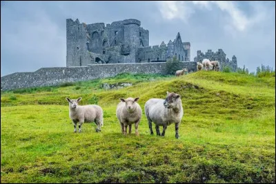 Quelles sont les trois couleurs du drapeau de l'Irlande ?
