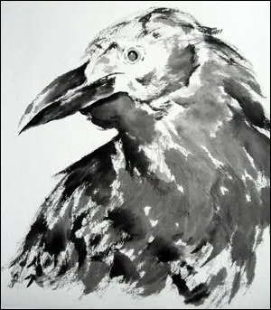 Quel genre d'oiseau est Zoltan, toujours perché sur l'épaule de ce dernier, qui finira par manger les yeux de la mule du Pistolero, après que celle-ci eût passé l'arme à gauche ?