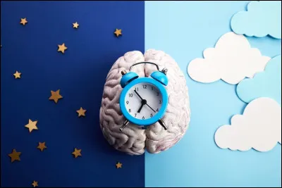Si tu avais une journ&eacute;e compl&egrave;tement libre, que choisirais-tu ?