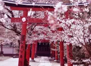 Quiz Les pays asiatiques
