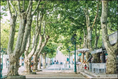 Quel est le nom de cette place-square-boulodrome centrale de Saint-Tropez ?