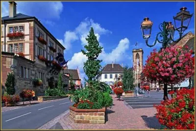 Ville d'Alsace de 5 000 habitants, situ&eacute;e en bordure du massif des Vosges, dans la vall&eacute;e de la Mossig :