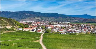 Ville alsacienne de 8 000 habitants situ&eacute;e pr&egrave;s de Colmar :