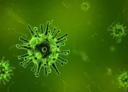 Quiz As-tu le niveau en sciences d'un enfant de 11 ans ?