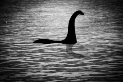 Quel est le surnom de ce monstre du loch Ness, g&eacute;n&eacute;ralement d&eacute;crit comme ressemblant &agrave; un serpent de mer ?