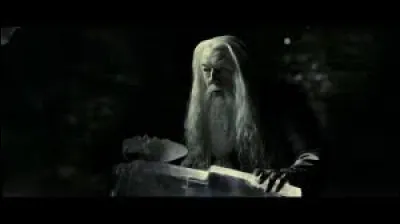 &Agrave; la quanti&egrave;me coupe de potion Dumbledore tombe-t-il contre la bassine de pierre ?