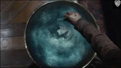 Combien faut-il de coupes &agrave; Dumbledore pour boire toute la potion ?