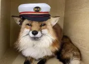 Quiz Sven4 cache la réponse !