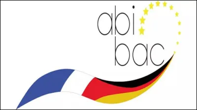 Comment s'appelle l'&eacute;quivalent du bac en Allemagne ?