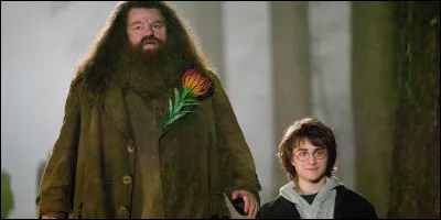 Quelle est la date de naissance de Hagrid ?