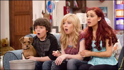 Quel acteur joue dans ''Sam et Cat'' ?