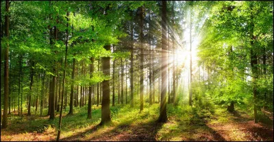 Le soleil ... de tout son &eacute;clat.