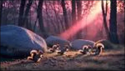Le ciel ... tout rose avec le coucher du soleil.
