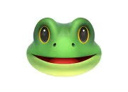Quiz Vrai/faux sur la grenouille commune