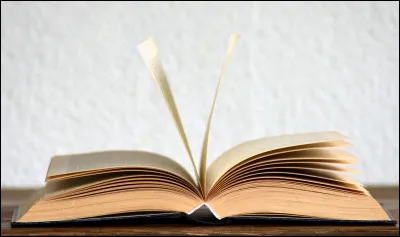 Aimes-tu lire ?
