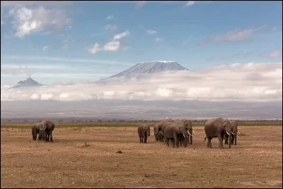 Quelle est la capitale du Kenya ?