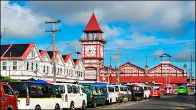 Quel pays a pour capitale la ville de Georgetown ?