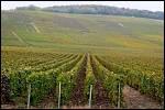 Combien d'AOC compte-t-on sur les 26500ha de vignobles que compte la Bourgogne ?