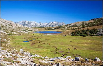Quelle est la capitale de la r&eacute;gion Corse ?