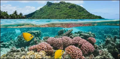 Quel pays est situ&eacute; entre la Guadeloupe au nord et la Martinique au sud ?