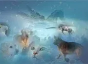 Test En quel animal vas-tu te réincarner ?