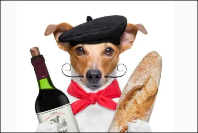 La gastronomie nous rappelle donc bien que l'alimentation constitue un &eacute;l&eacute;ment fondamental ou fondateur de notre identit&eacute; et de notre histoire commune au-del&agrave; de r&eacute;gler l'estomac !Quel est ce type de phrase ?