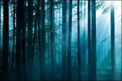 O&ugrave; pr&eacute;f&egrave;res-tu &ecirc;tre ?