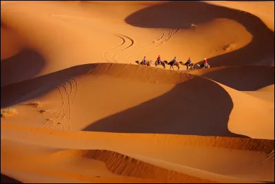 Quel d&eacute;sert d'Asie est l'un des plus grands du monde ?