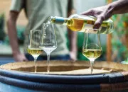 Quiz Œnologie - Les pays consommant le plus grand volume de vin en 2025