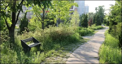 Pourquoi certaines villes cr&eacute;ent-elles des &laquo; &icirc;lots de fra&icirc;cheur &raquo; ?