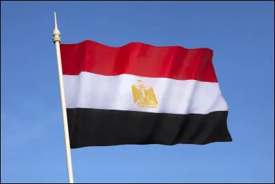 Quel pays poss&egrave;de ce drapeau ?